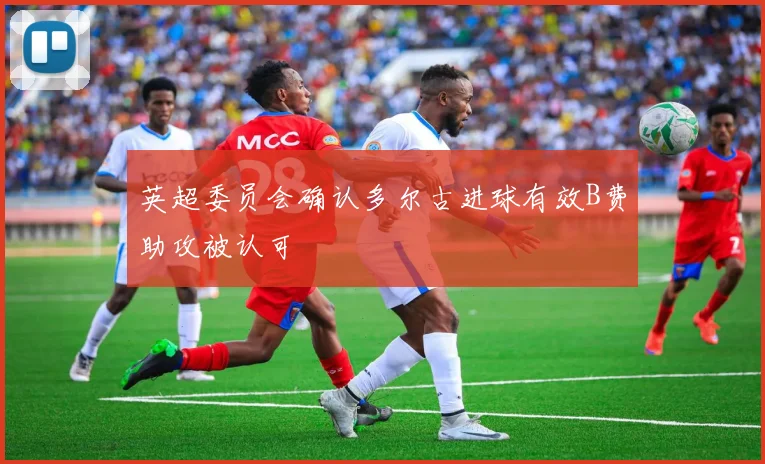 英超委员会确认多尔古进球有效B费助攻被认可